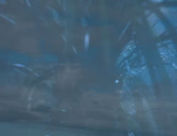 extant_XenaWarriorPrincess_3x05-GabriellesHope_03514