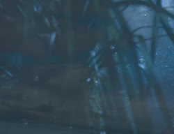 extant_XenaWarriorPrincess_3x05-GabriellesHope_03515