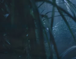 extant_XenaWarriorPrincess_3x05-GabriellesHope_03516