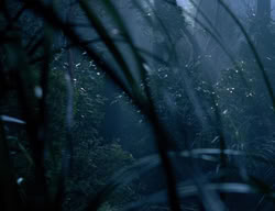 extant_XenaWarriorPrincess_3x05-GabriellesHope_03518