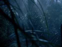 extant_XenaWarriorPrincess_3x05-GabriellesHope_03519