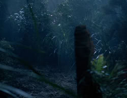 extant_XenaWarriorPrincess_3x05-GabriellesHope_03521
