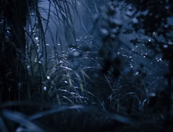 extant_XenaWarriorPrincess_3x05-GabriellesHope_03551