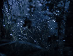 extant_XenaWarriorPrincess_3x05-GabriellesHope_03552