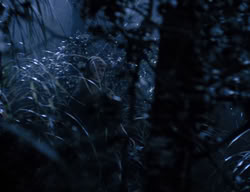 extant_XenaWarriorPrincess_3x05-GabriellesHope_03553