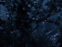 extant_XenaWarriorPrincess_3x05-GabriellesHope_03554