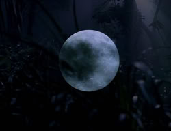 extant_XenaWarriorPrincess_3x06-TheDebt_0005