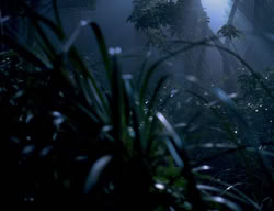 extant_XenaWarriorPrincess_3x06-TheDebt_0007