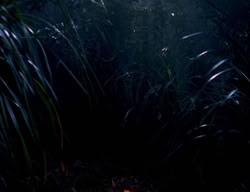 extant_XenaWarriorPrincess_3x06-TheDebt_0012