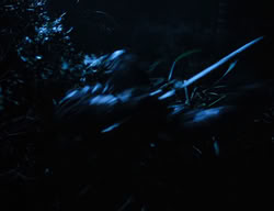 extant_XenaWarriorPrincess_3x06-TheDebt_0144