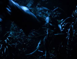 extant_XenaWarriorPrincess_3x06-TheDebt_0146