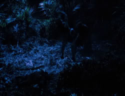 extant_XenaWarriorPrincess_3x06-TheDebt_0203