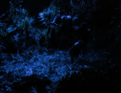 extant_XenaWarriorPrincess_3x06-TheDebt_0204