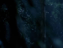 extant_XenaWarriorPrincess_3x06-TheDebt_0308