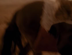 extant_XenaWarriorPrincess_3x06-TheDebt_0645