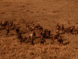 extant_XenaWarriorPrincess_3x06-TheDebt_0679
