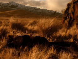 extant_XenaWarriorPrincess_3x06-TheDebt_0708