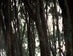 extant_XenaWarriorPrincess_3x06-TheDebt_1212
