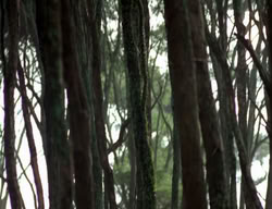 extant_XenaWarriorPrincess_3x06-TheDebt_1215
