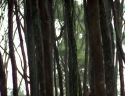 extant_XenaWarriorPrincess_3x06-TheDebt_1216