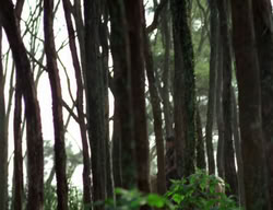 extant_XenaWarriorPrincess_3x06-TheDebt_1217