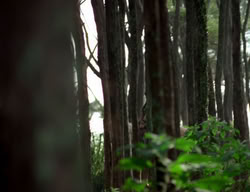 extant_XenaWarriorPrincess_3x06-TheDebt_1218