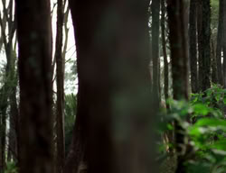 extant_XenaWarriorPrincess_3x06-TheDebt_1219