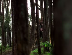 extant_XenaWarriorPrincess_3x06-TheDebt_1220