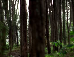 extant_XenaWarriorPrincess_3x06-TheDebt_1221