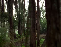 extant_XenaWarriorPrincess_3x06-TheDebt_1223