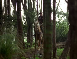 extant_XenaWarriorPrincess_3x06-TheDebt_1224