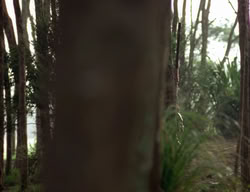 extant_XenaWarriorPrincess_3x06-TheDebt_1232