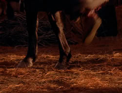 extant_XenaWarriorPrincess_3x06-TheDebt_1411