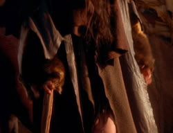 extant_XenaWarriorPrincess_3x06-TheDebt_1430