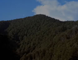 extant_XenaWarriorPrincess_3x06-TheDebt_1733