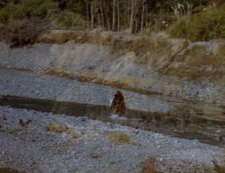 extant_XenaWarriorPrincess_3x06-TheDebt_1745