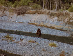 extant_XenaWarriorPrincess_3x06-TheDebt_1751