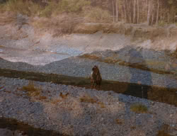 extant_XenaWarriorPrincess_3x06-TheDebt_1753