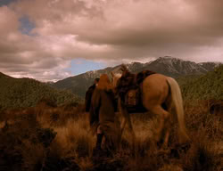 extant_XenaWarriorPrincess_3x06-TheDebt_1756