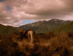 extant_XenaWarriorPrincess_3x06-TheDebt_1762