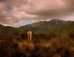 extant_XenaWarriorPrincess_3x06-TheDebt_1763