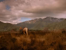 extant_XenaWarriorPrincess_3x06-TheDebt_1764
