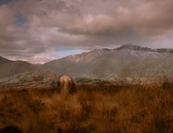 extant_XenaWarriorPrincess_3x06-TheDebt_1765