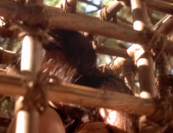 extant_XenaWarriorPrincess_3x06-TheDebt_2470