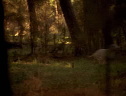 extant_XenaWarriorPrincess_3x06-TheDebt_2701