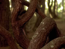 extant_XenaWarriorPrincess_3x06-TheDebt_2704