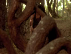 extant_XenaWarriorPrincess_3x06-TheDebt_2706