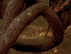extant_XenaWarriorPrincess_3x06-TheDebt_2708