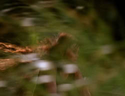 extant_XenaWarriorPrincess_3x06-TheDebt_2712
