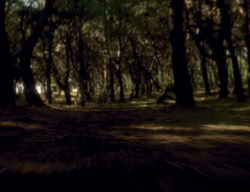 extant_XenaWarriorPrincess_3x06-TheDebt_2716